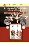 Care for a Pet Sugar Glider