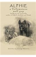 Alphie, a Yellowstone Wolf Pup