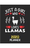 Just A Girl Who Loves Llamas 2020 Planner