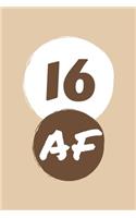 16 AF