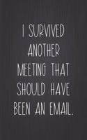 I Survived Another Meeting That Should Have Been An Email