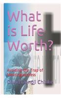 What is Life Worth?