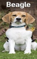 Beagle Slim Calendar 2019