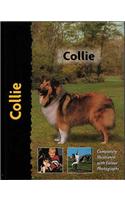 Collie