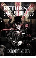 Return of the English Bulldog