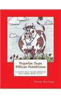 Pequeñas Joyas Biblicas Asombrosas