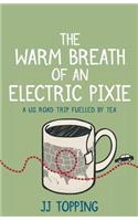 The Warm Breath of an Electric Pixie