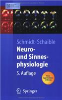 Neuro- Und Sinnesphysiologie