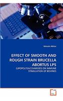 Effect of Smooth and Rough Strain Brucella Abortus Lps