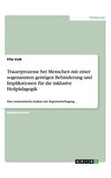 Trauerprozesse bei Menschen mit einer sogenannten geistigen Behinderung und Implikationen für die inklusive Heilpädagogik: Eine systematische Analyse mit Expertenbefragung(German)
