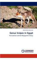 Genus Vulpes in Egypt: (English)