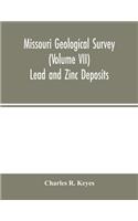 Missouri Geological Survey (Volume VII)