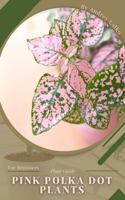 Pink Polka Dot Plants