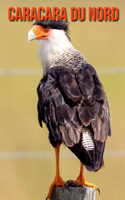 Caracara du Nord: Recueil pour Enfants de Belles Images & d'Informations Intéressantes Concernant les Caracara du Nord