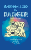 Marshmallows in Danger: The adventure begins(1 Marshmallows in Danger)