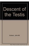 Descent of the Testis