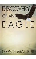 Discovery of an Eagle