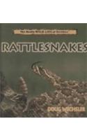 Rattlesnakes