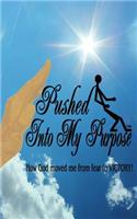 Pushed Into My Purpose 