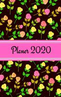 Planer 2020