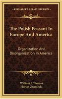 The Polish Peasant in Europe and America