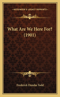 What Are We Here For? (1901)