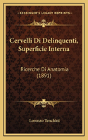 Cervelli Di Delinquenti, Superficie Interna