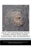 Facts and Information about Fossils, Fossil Types, Fossil Collecting, and Paleontology
