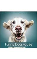 Funny Dog Faces 2018