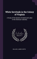 White Servitude in the Colony of Virginia: A Study of the System of Indentured Labor in the American Colonies;