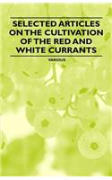 Selected Articles on the Cultivation of the Red and White Currants: (English)