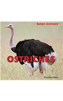 Ostriches: (Safari Animals)