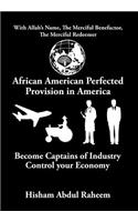 African American Perfected Provision in America