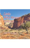 Little Wild Horse Canyon