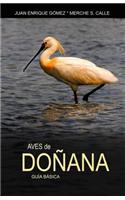 Aves de Donana