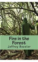 Fire in the Forest