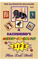 Dachshund's Merry-Go-Round Life