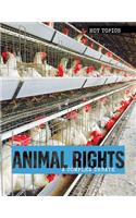 Animal Rights