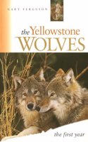 The Yellowstone Wolves, the First Year