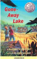Gone-Away Lake