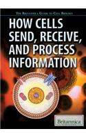 How Cells Send, Receive, and Process Information