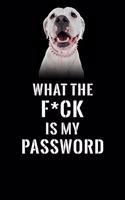 What The F*CK Is My Password, Dogo Argentino