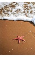 Sea Star on the Beach Journal