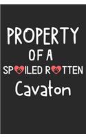 Property Of A Spoiled Rotten Cavaton