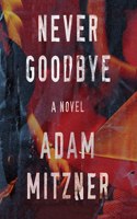 Never Goodbye