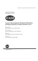 Towards Understanding the Mechanism of Receptivity and Bypass Dynamics in Laminar Boundary Layers