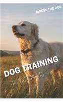 Dog Training