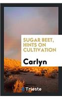 Sugar Beet, Hints on Cultivation