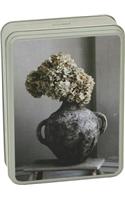 Life Less Ordinary Notecards in Tin