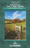 Walking in the Chilterns